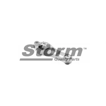 Support moteur Storm OEM 8200073669