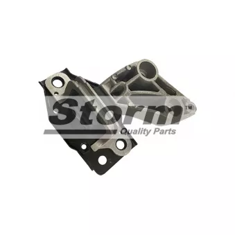 Support moteur Storm OEM 8200398170