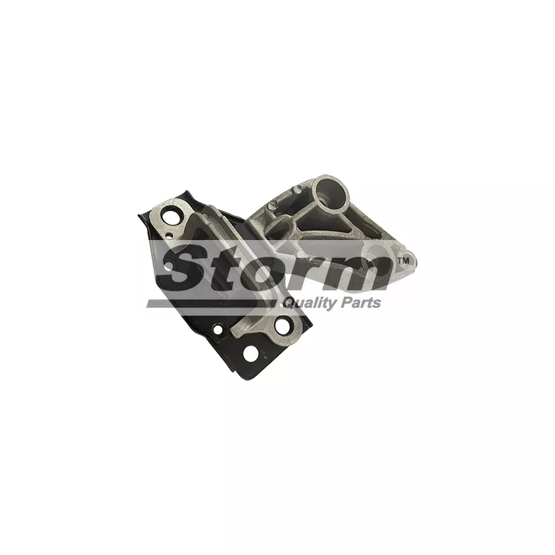 Support moteur Storm F5311 - Visuel 1