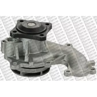 Pompe à eau, refroidissement du moteur Storm OEM 1104115
