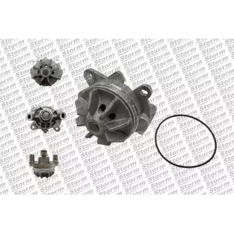Pompe à eau, refroidissement du moteur Storm OEM 8200129206
