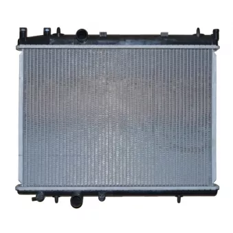 Radiateur, refroidissement du moteur NRF OEM PG009R016