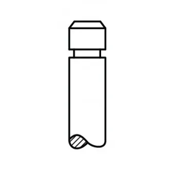 Soupape d'échappement AE V94530