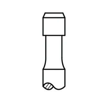 Soupape d'échappement AE V94543