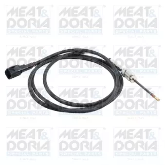 Capteur, température des gaz MEAT & DORIA 12627 pour FORD C-MAX 2.0 TDCi - 170cv