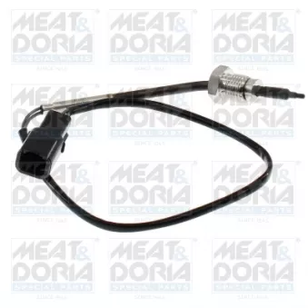 Capteur, température des gaz MEAT & DORIA OEM 21568615