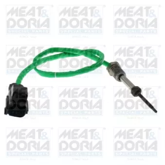 Capteur, température des gaz MEAT & DORIA 12813 pour FORD C-MAX 1.5 TDCi ECOnetic - 105cv