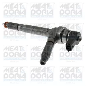 Injecteur MEAT & DORIA OEM 810109
