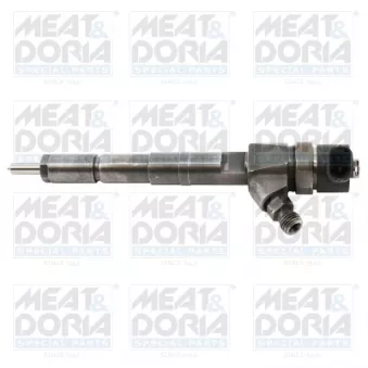 Injecteur MEAT & DORIA OEM 810101