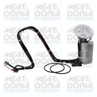 Unité d'injection de carburant MEAT & DORIA OEM 77019