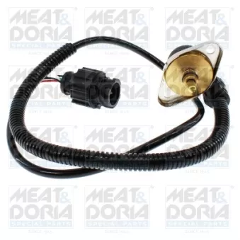 Capteur, pression de carburant MEAT & DORIA 825038 pour DAF XF 95 FH 16/610 - 610cv