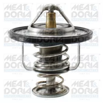 Thermostat d'eau MEAT & DORIA OEM 2120057J05