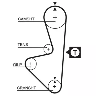 Courroie de distribution GATES OEM 94174306