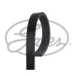 Courroie trapézoïdale à nervures GATES [5PK1084EST]