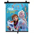 AMIO S9343 - Pare-soleil enroulable 1 pcs 36x45cm FROZEN 2