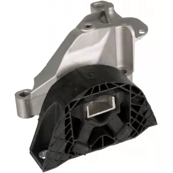 Support moteur GATES OEM 113753301R