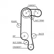 GATES KP45565XS - Pompe à eau + kit de courroie de distribution