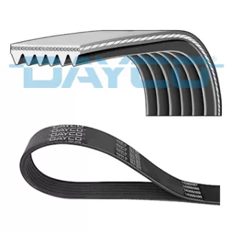 DAYCO 6PK2200S - Courroie trapézoïdale à nervures