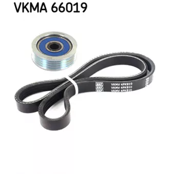 SKF VKMA 66019 - Jeu de courroies trapézoïdales à nervures