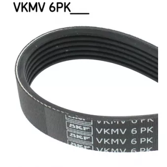Courroie trapézoïdale à nervures SKF VKMV 6PK1031 pour VOLKSWAGEN GOLF 1.6 TDI - 115cv