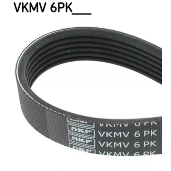 Courroie trapézoïdale à nervures SKF OEM 5066931AA