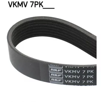 SKF VKMV 7PK1601 - Courroie trapézoïdale à nervures