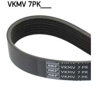 SKF VKMV 7PK1752 HD - Courroie trapézoïdale à nervures