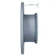 YOUNG PARTS 1275-100 - Jeu de 2 disques de frein avant