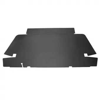 Carton de coffre avant YOUNG PARTS OEM 111898600