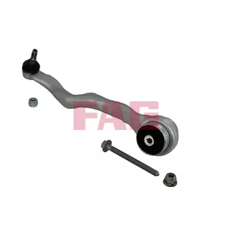 Triangle ou bras de suspension (train avant) FAG OEM 31126855741