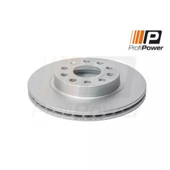 ProfiPower 3B1009 - Jeu de 2 disques de frein arrière