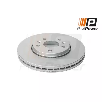 ProfiPower 3B1075 - Jeu de 2 disques de frein arrière