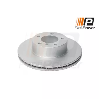 ProfiPower 3B1089 - Jeu de 2 disques de frein arrière