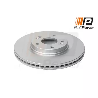 ProfiPower 3B1124 - Jeu de 2 disques de frein arrière