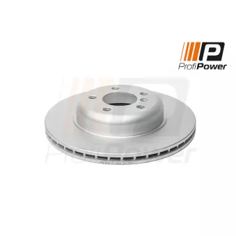 ProfiPower 3B1133 - Jeu de 2 disques de frein arrière