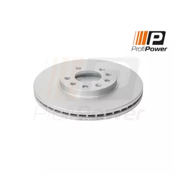 ProfiPower 3B1146 - Jeu de 2 disques de frein arrière
