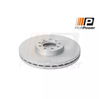 ProfiPower 3B1155 - Jeu de 2 disques de frein arrière