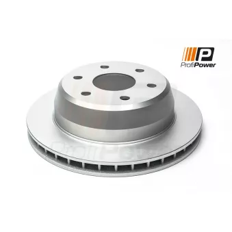 ProfiPower 3B2094 - Jeu de 2 disques de frein arrière