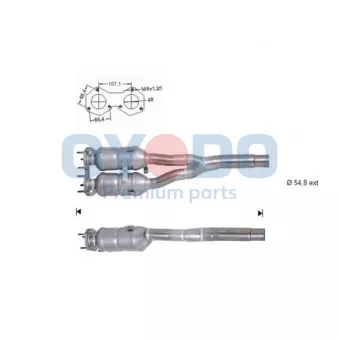 OYODO 10N0144-OYO - Catalyseur