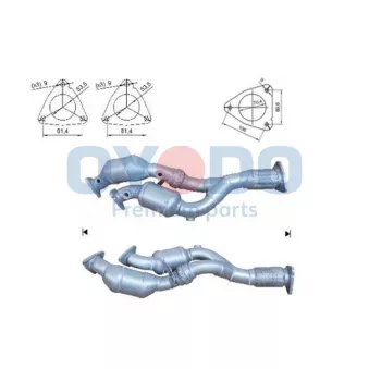 Catalyseur OYODO [10N0152-OYO]