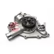 Pompe à eau, refroidissement du moteur JPN [10C0A27-JPN]