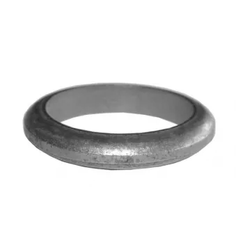 Bague d'étanchéité, tuyau d'échappement IMASAF OEM 82407143