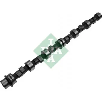 INA 428 0008 10 - Arbre à came