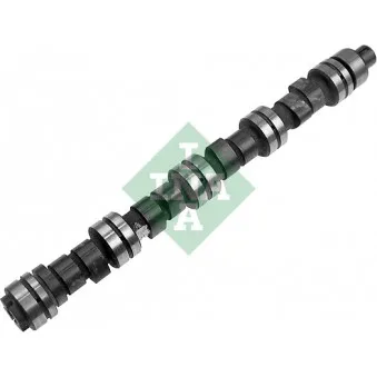 Arbre à came INA 428 0040 10