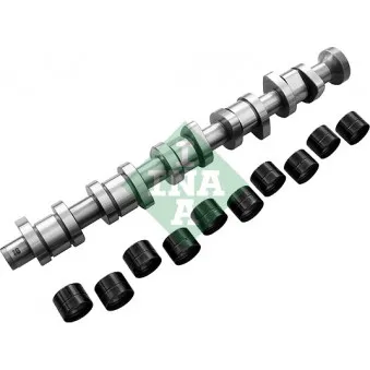Jeu d'arbres à came INA OEM 070109101P