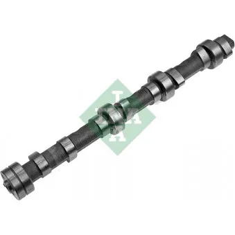 Arbre à came INA 428 0165 10