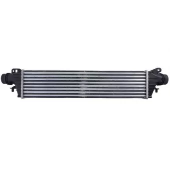 Intercooler, échangeur THERMOTEC DAX039TT pour NISSAN MAXIMA 1.6 Turbo - 207cv