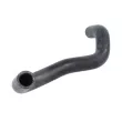 Durite de radiateur THERMOTEC [DW5010TT]