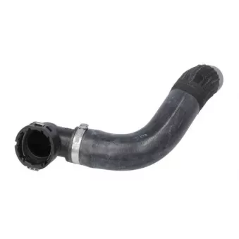 THERMOTEC DWF104TT - Durite de radiateur