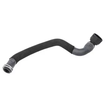 Durite de radiateur THERMOTEC DWV049TT